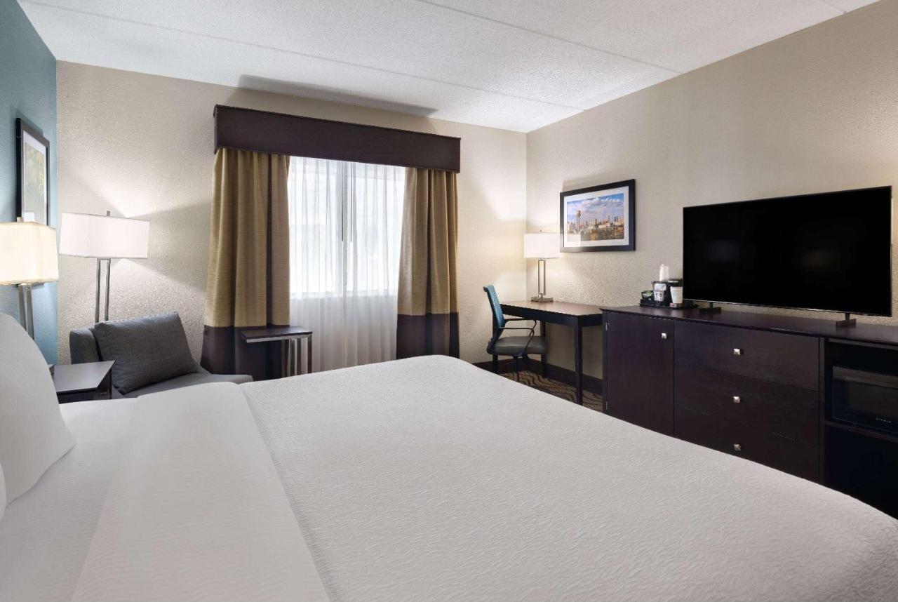 King Room Pet Friendly or Non-Smoking